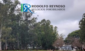 Campo de 95 ha en Cnia Elía – ER